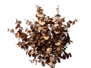 Home. by van Breugel woonaccessoires