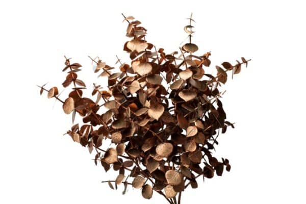 Home. by van Breugel woonaccessoires