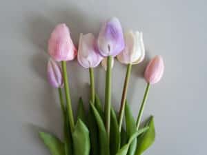 Kunst tulpen