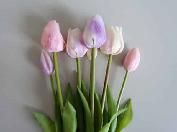 Kunst tulpen